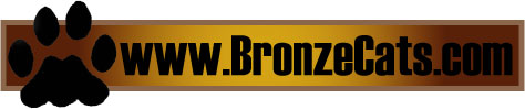 www.BronzeCats.com Web Banner